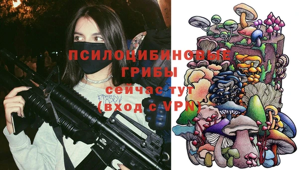 spice Балахна