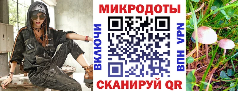 блэк спрут онион  Кудымкар  Галлюциногенные грибы Cubensis 